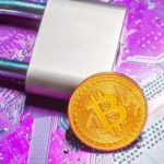 Top 5 Crypto Wallets for Beginners in 2026: Features, Security & Costs
