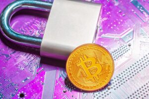 Top 5 Crypto Wallets for Beginners in 2026: Features, Security & Costs